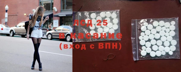 ГАЛЛЮЦИНОГЕННЫЕ ГРИБЫ Осташков