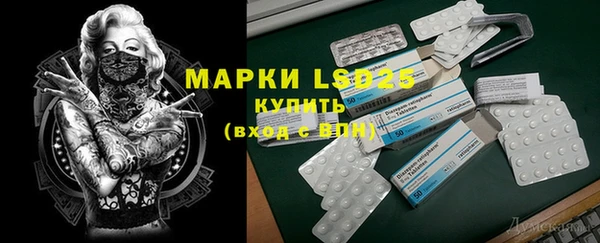ГАЛЛЮЦИНОГЕННЫЕ ГРИБЫ Осташков