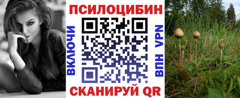 Галлюциногенные грибы MAGIC MUSHROOMS  Купить  Шлиссельбург 